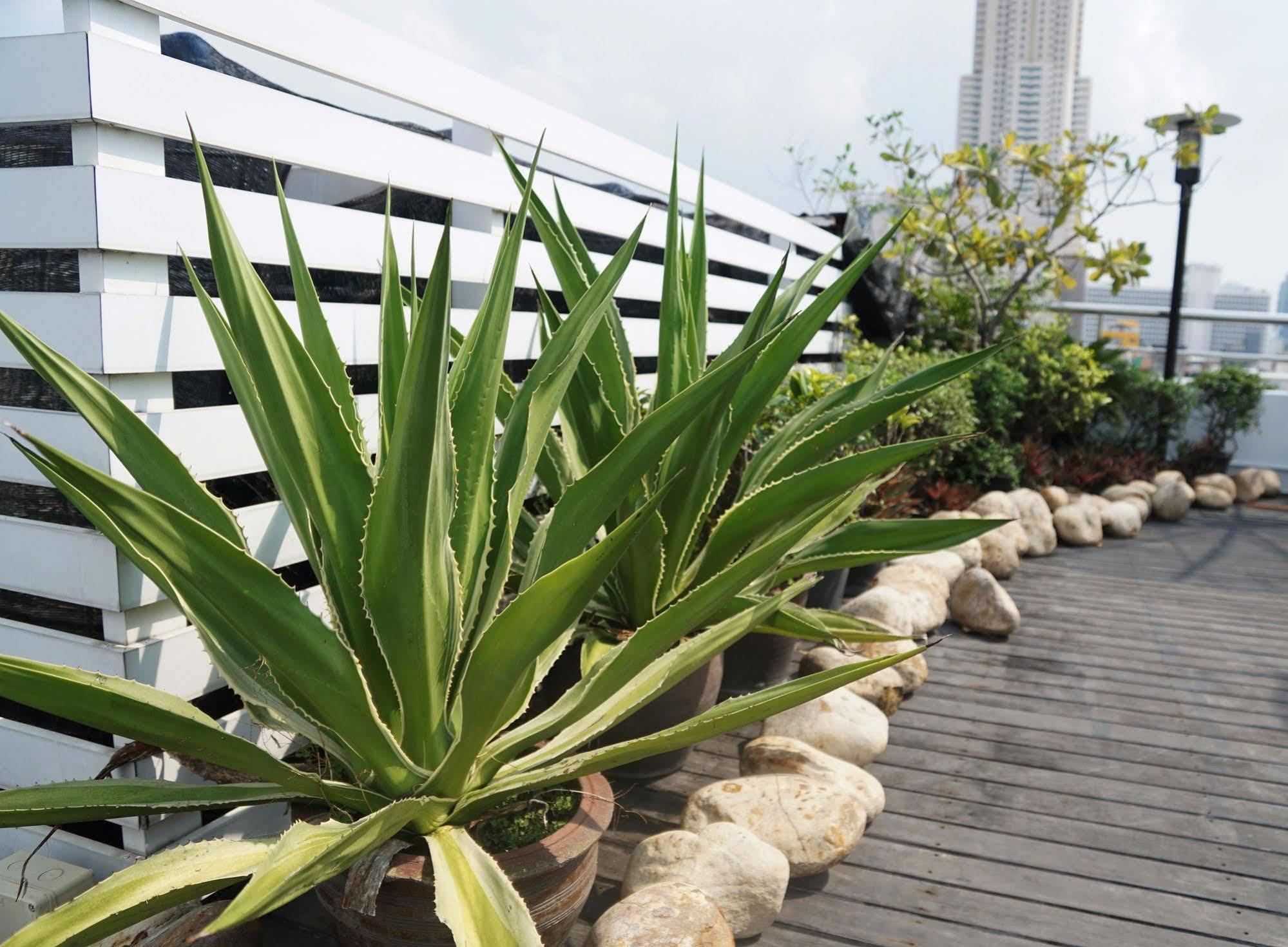 iCheck inn Mayfair Pratunam Bangkok Exterior foto